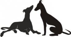 Galgo 2er Gruppe 01