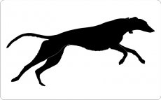 Rennender Greyhound 02