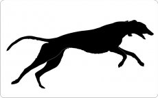 Rennender Greyhound 03