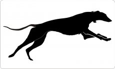 Rennender Greyhound 05