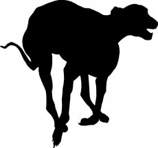 Springender Greyhound 01