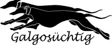 Rennende Galgos Galgo süchtig