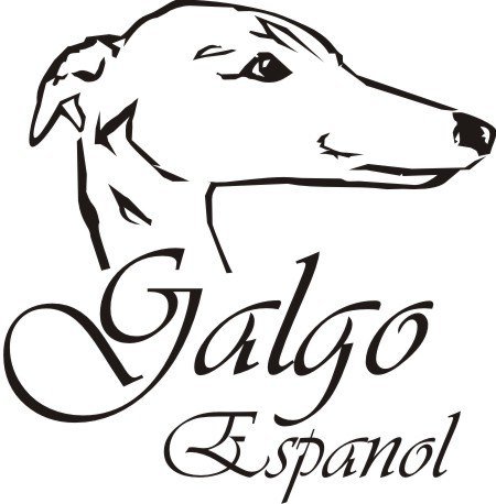 GALGO Aufkleber - Autoaufkleber - sticker - Galgo Windhund Kopf