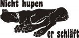 Galgo bitte nicht hupen