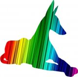 Liegender Podenco in Regenbogen