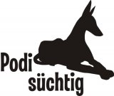 Podenco liegend mit Podi süchtig